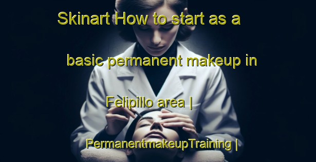 Skinart How to start as a basic permanent makeup in Felipillo area | PermanentmakeupTraining | PermanentmakeupClasses | SkinartTraining-Panama